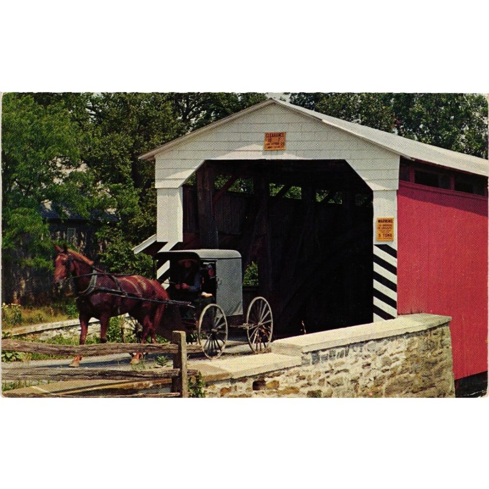 The Penna Dutch Country Amish Buggy Horse Pennsylvania Postcards Vintage Souveni